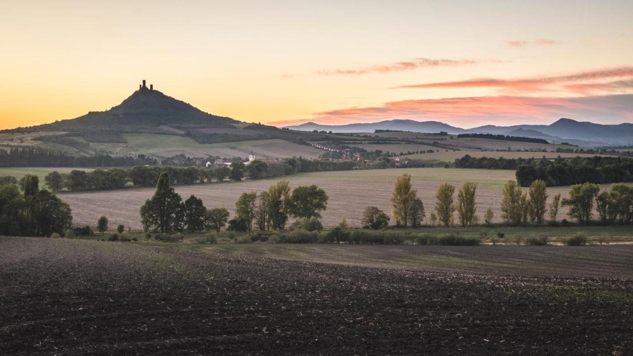 拉贝河畔乌斯季市中心康福特茵酒店 Ústí nad Labem 外观 照片